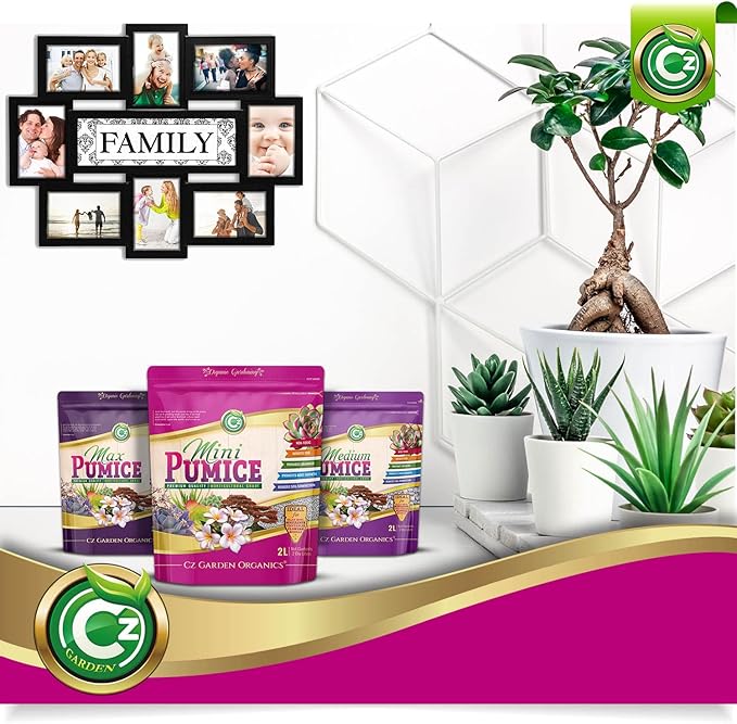 Pumice Stone Grow Media - Made in USA for Bonsai • Succulents • Cactus • Orchids - Horticultural Soil Amendment Additive Conditioner for Indoor and Outdoor Plants and Flower Gardens. OMRI Listed