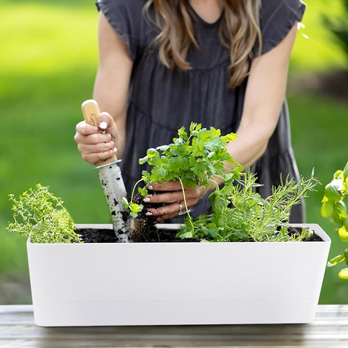 GREANER Large Window Boxes Planters, 1PCS 16x3.8 Inch White Vegetable Herb Planters with Tray, Indoor Succulent Cactus Flowers Plastic Rectangle Pot for Balcony, Office, Garden, Outdoor, Windowsill