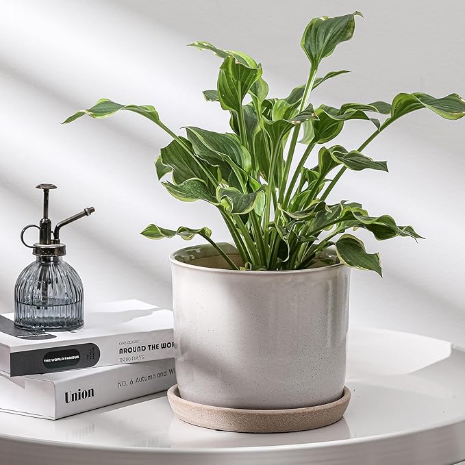 8 Inch Plant Pot: Ceramic Planter with Drainage Hole & Saucer for Indoor Outdoor Plants - Flowerpot with Bonded Tray for Home Office - Retro Style, Grey