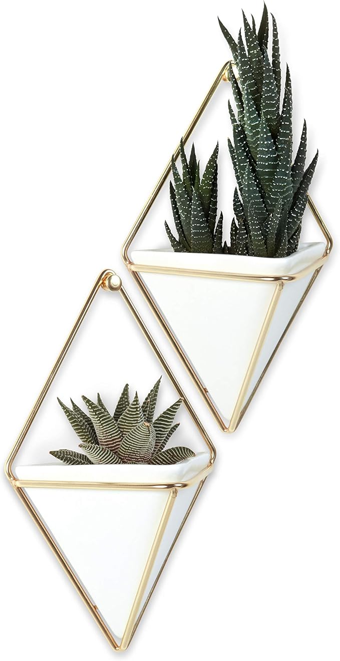 Umbra Trigg Hanging Planter Vase Wall Decor, Set of 2 Pots Containers for Succulents, Cactus, Faux Plants, and More, Small, White/Brass