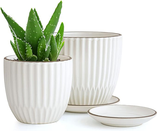 D'vine Dev Set of 2 Stoneware Planter Pots, Ceramic Pot with Drainage Hole and Saucers, 4.5 Inch 5.8 Inch, Ivory, 99-D-1