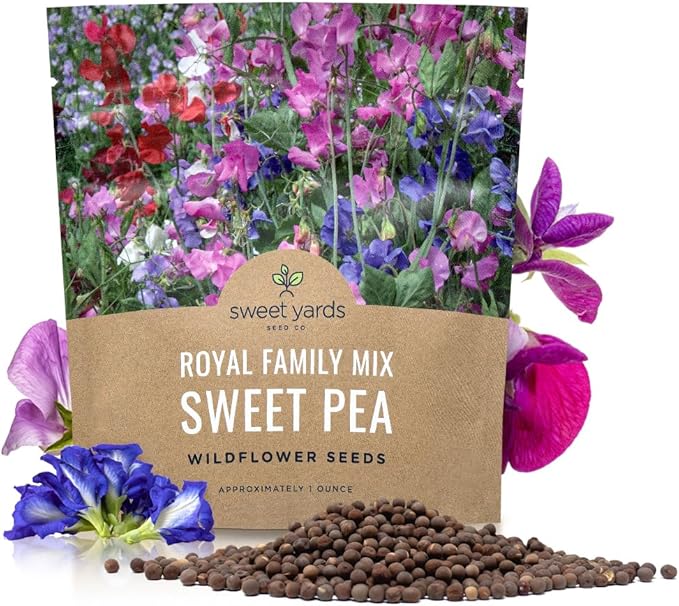 Sweet Pea Seeds Royal Mix - Bulk 1 Ounce Packet - Over 350 Seeds - Large Fragrant Lavender, Purple, Red, Pink and White Blooms