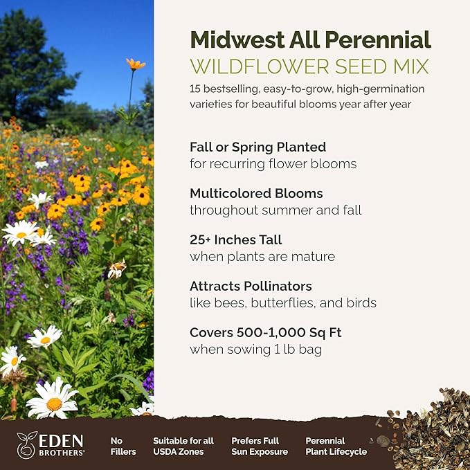 Eden Brothers Midwest All Perennial Wildflower Mixed Seeds for Planting, 1 lb, 480,000+ Seeds with Hyssop, Shasta Daisy | Attracts Pollinators, Plant in Spring or Fall, Zones 3, 4, 5, 6, 7, 8, 9, 10