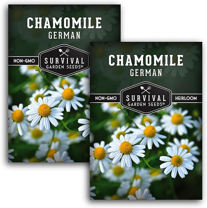 German Chamomile Seeds for Planting - 2 Packets with Instructions to Plant and Grow Matricaria chamomilla in Your Home Herb Garden - Non-GMO Heirloom Variety - Survival Garden Seeds