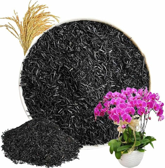 Horticultural Charcoal, Rice Husk Natural Activated Charcoal for Plants Indoor Biochar Soil Amendment Organic for Terrariums - 2.2 lbs