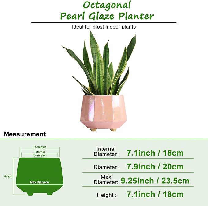 8 Inch Ceramic Planter for Indoor Plants - Plant Pots with Drainage Hole - Modern Minimalist Flower Pot for Succulents and Herbs