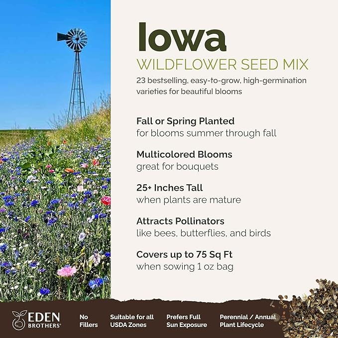 Eden Brothers Iowa Wildflower Mixed Seeds for Planting, 1 oz, 30,000+ Seeds with Cornflower, Candytuft | Attracts Pollinators, Plant in Spring or Fall, Zones