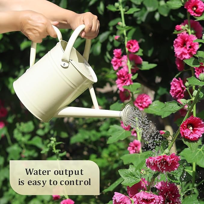 Watering Can for Outdoor Plants and Indoor Plants,1 Gallon Metal Watering Can for Garden Flower,Galvanized Steel Metal Water Can Watering Pot with Sprinkler Head
