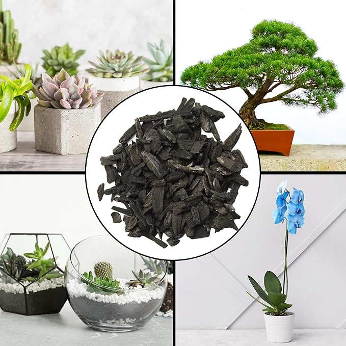 Horticultural Charcoal for Indoor Plants (4 Quarts), Hardwood Soil Additive for Orchids, Terrariums, and Gardening