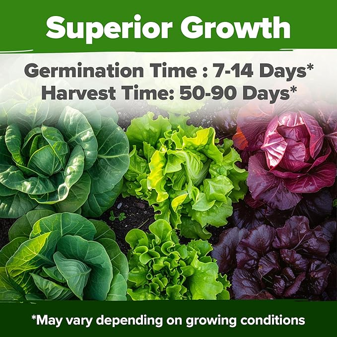 5,000+ Heirloom Lettuce Seeds for Planting Indoors - 95% Germination, Non-GMO Greens Seeds, (10 Varieties): Kale, Spinach, Butter, Romaine, Arugula & More - Lettuce Seeds for Hydroponic Home Garden