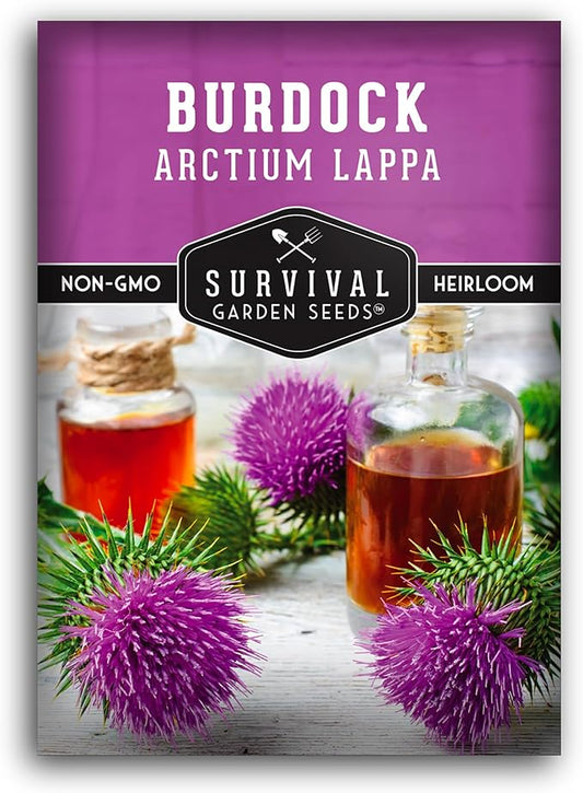Survival Garden Seeds Burdock Seeds for Planting – 1 Packet with Instructions to Grow Burdock Root Plant (GOBO) in Your Home Vegetable Garden – Non-GMO Heirloom Herb Seeds