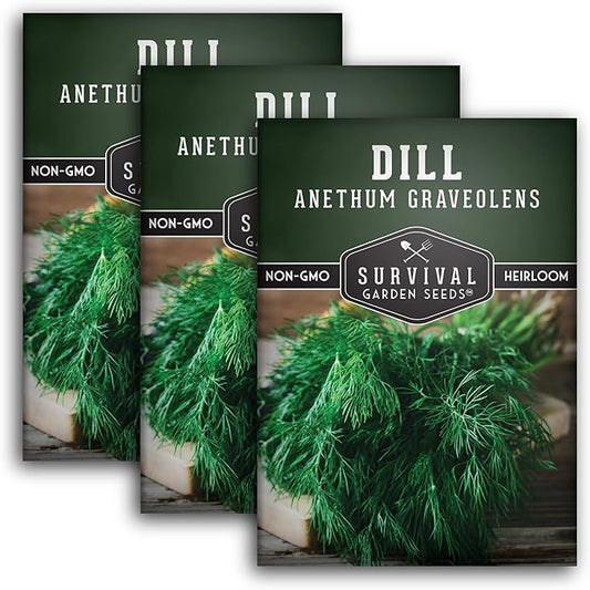 Survival Garden Seeds - Dill Seed for Planting - Packet with Instructions to Plant and Grow Popular Pickling Herbs in Your Home Vegetable and Herb Garden - Non-GMO Heirloom Variety - 3 Pack