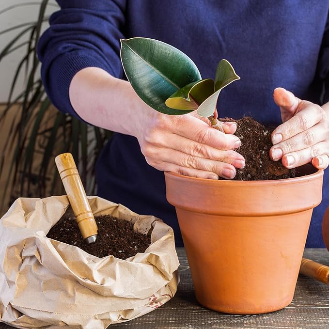 Organic Fiddle Leaf Fig Potting Mix 4qt, Indoor Plants Potting Mix for All Potted Ficus Lyrata Plant, Grow Healthy houseplants Indoors