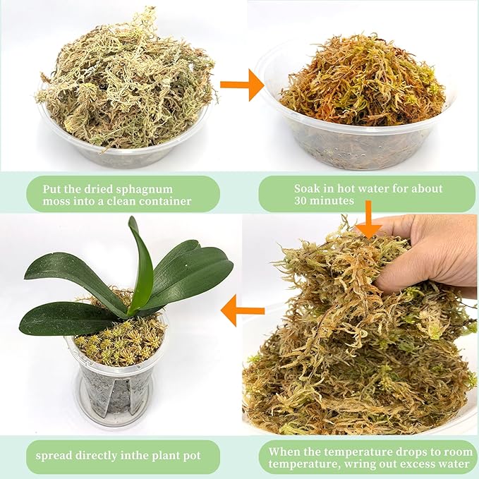 2.2LBS Premium Sphagnum Moss, Reptiles Dried Moss, Plants Propagation Plant Growing Medium for Monstera Orchid Potting Mix (Appx 55 QT)