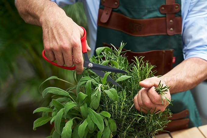 FELCO 455 All-Purpose Floral Scissor