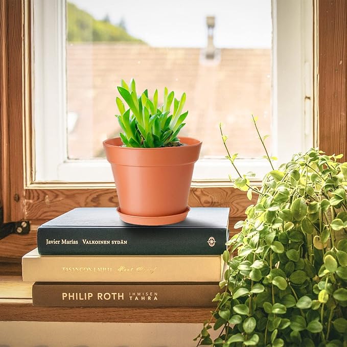 12 Pack 4 inch Plastic Planters, Seedlings Plant Nursery Pots with Drainage Holes and Saucers for Plants Flowers Succulent and All House Plants, Terracotta