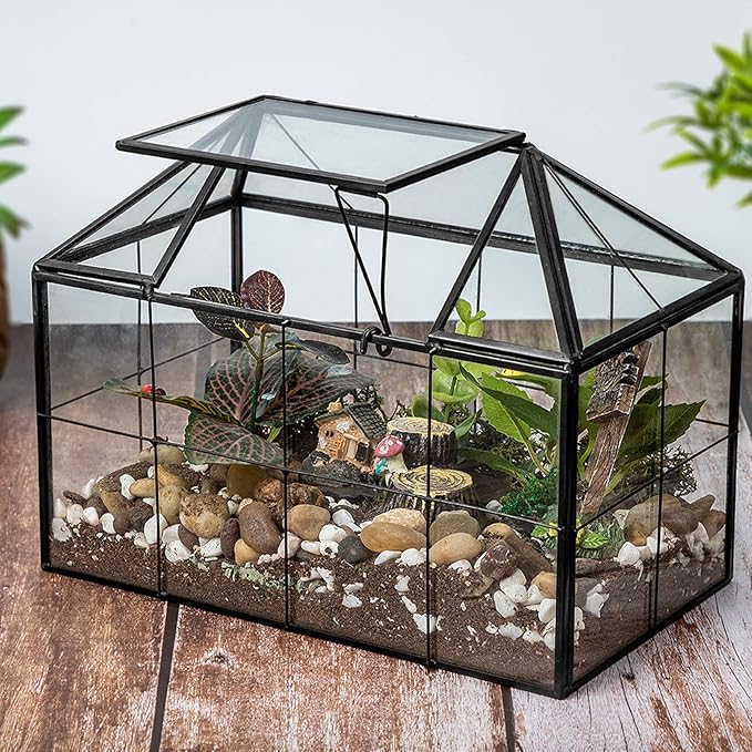 Ferrisland Glass Terrarium Greenhouse House Shape Display Box Planter for Succulents Plant Terrarium Container Mordern Tabletop Decor Gardern DIY Kit