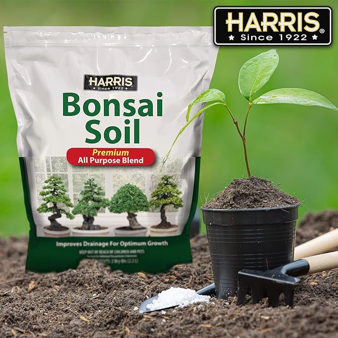 Harris Bonsai Soil, All Purpose Premium Blend for Outstanding Growth, 2qt