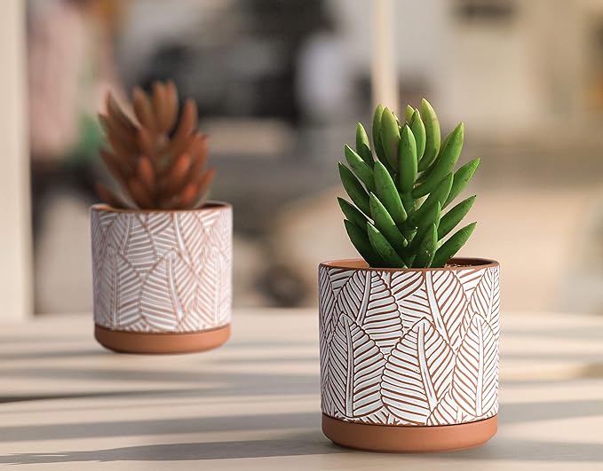 D'vine Dev Set of 2 Terracotta Pots, Broadleaf Pattern Planter Pot, 4 Inch and 6 Inch, Pot with Drainage Hole and Saucer, Terracotta/White, 31-958-H-1