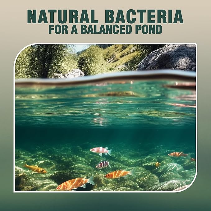 Webb's Water Gardens Microbe-Lift PL Beneficial Bacteria for Ponds and Water Features - Ideal for Wildlife and Aquatic Pets, 1.05 gallons