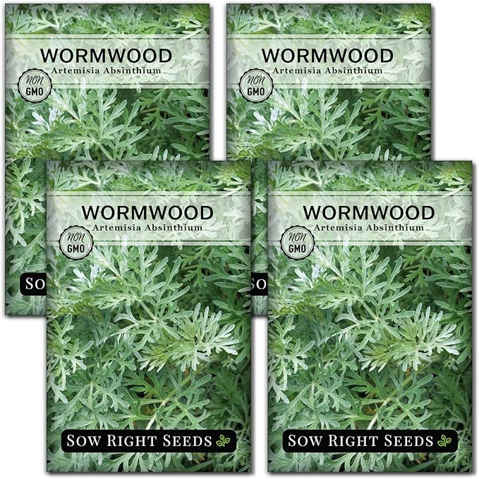 Sow Right Seeds - Wormwood Seeds for Planting - Non-GMO Heirloom Packet with Instructions to Plant & Grow an Outdoor or Indoor Herb Garden - Sagewort Repels Mosquitoes - Medicinal Worm Wood Herb (4)