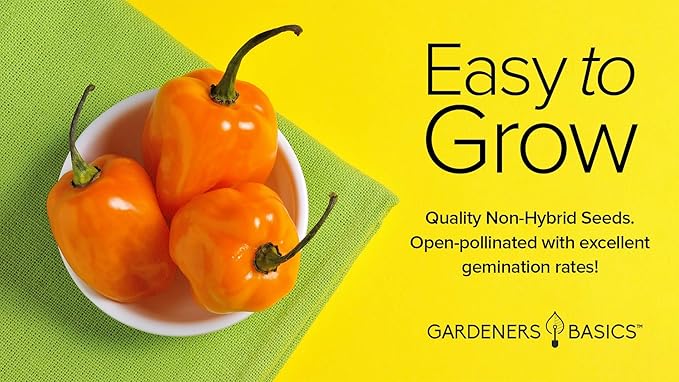 Gardeners Basics, Orange Habanero Pepper Seeds for Planting Heirloom Non-GMO Hot Habanero Peppers Plant Seeds for Home Garden Vegetables Makes a Great Gift for Gardeners