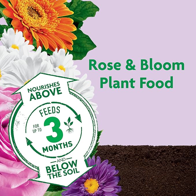 Miracle-Gro Shake 'n Feed Rose and Bloom Plant Food - Promotes More Blooms and Spectacular Colors (vs. Unfed Plants), Feeds Roses and Flowering Plants for up to 3 Months, 1 lb.
