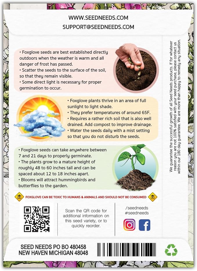 Seed Needs, Mixed Gloxiniaeflora Foxglove Seeds for Planting - Heirloom & Open Pollinated Biennial Flowers - Perfect for Butterfly Gardens & Insectaries (2 Packs)