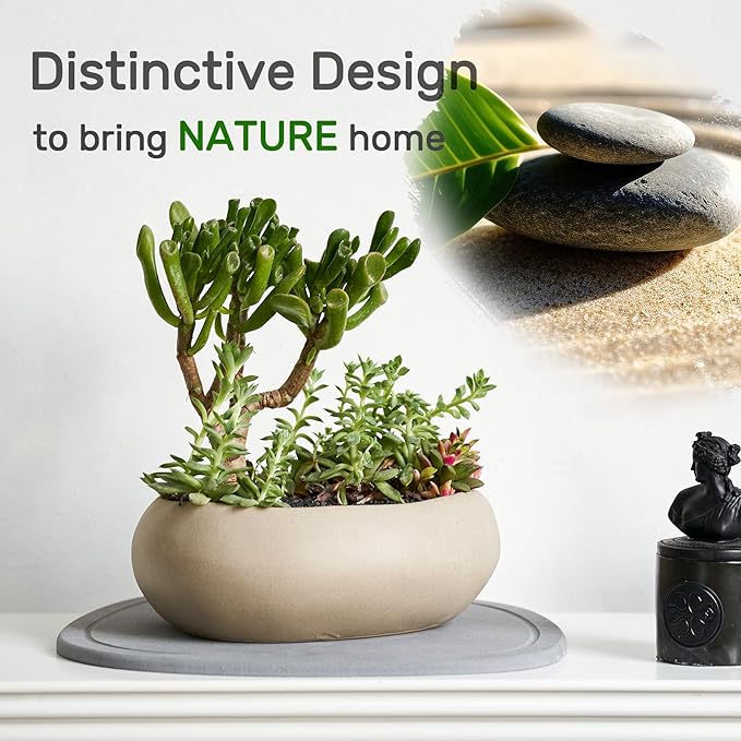 Diatomaceous Earth Plant Saucer for Indoor, 2 Pack Irregular 6 Inch 12 Inch, Instant Dry Pot Saucer, Plant Drip & Drainage Tray for Indoor, Stone Gray