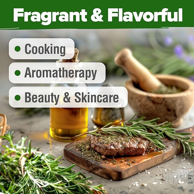 HOME GROWN Rosemary Seeds Pack - 300 High Germinating Non-GMO Heirloom Herb Seeds for Planting in Indoor or Outdoor Herb Gardens - USA Sourced (Salvia rosmarinus)