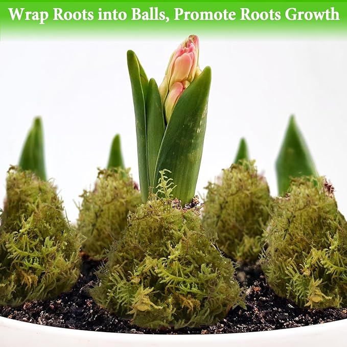 Halatool 1.1LB Green Forest Moss- 25QT Natural Sphagnum Moss for Plants Fluffy Orchid Moss for Orchids Repotting Dried Plant Moss for Potted Plants Indoor & Outdoor