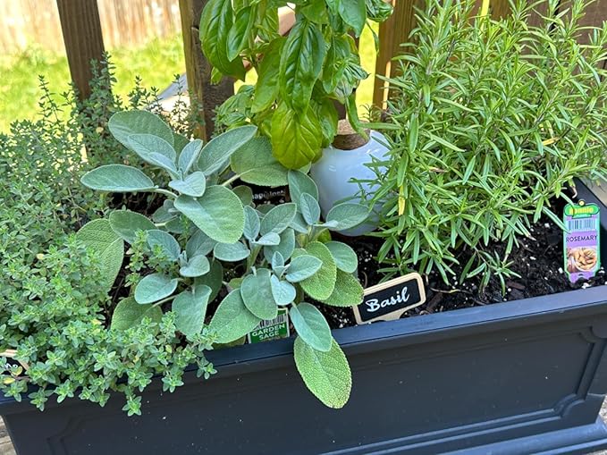 Plant Self Watering Globes - Terracotta Watering Spikes - Slow Release Olla Pots - Holds 16 oz - Drip Irrigiation Olla System - Bonus Garden Shears