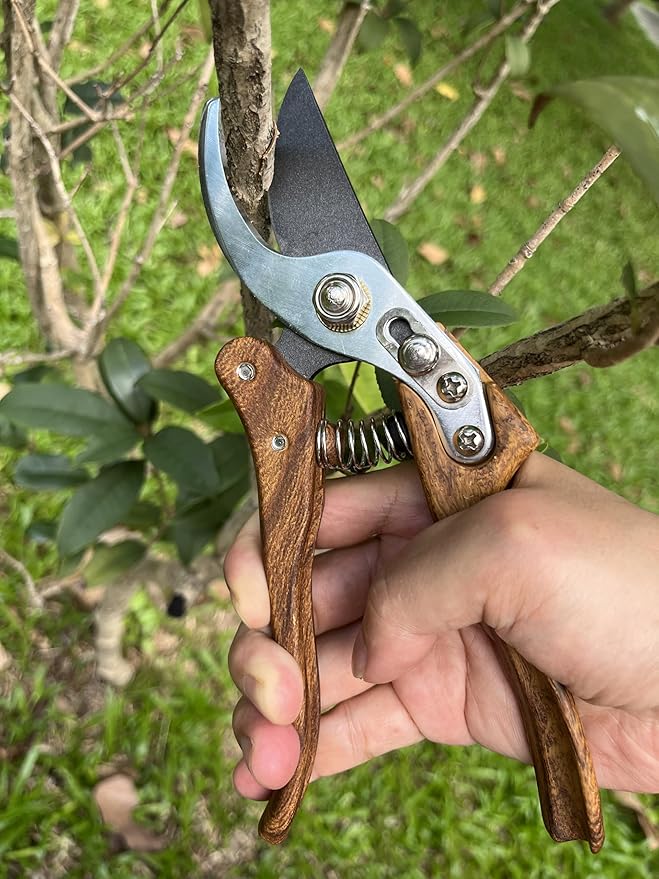 Garden Shears, Japanese Floral branch cutters, Snips for Gardening, Flower scissors Florist clippers, Hand Held Pruners for Gardening Heavy Duty, Pruning shears for garden (Wood Black)