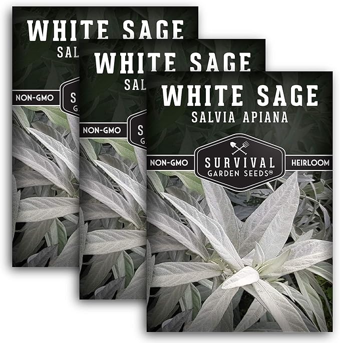 Survival Garden Seeds - 3 Packs White Sage Seed for Planting- Grow Sustainable Smudging Herbs - Packet with Instructions to Plant & Grow in Your Home Garden - Non-GMO Heirloom Variety