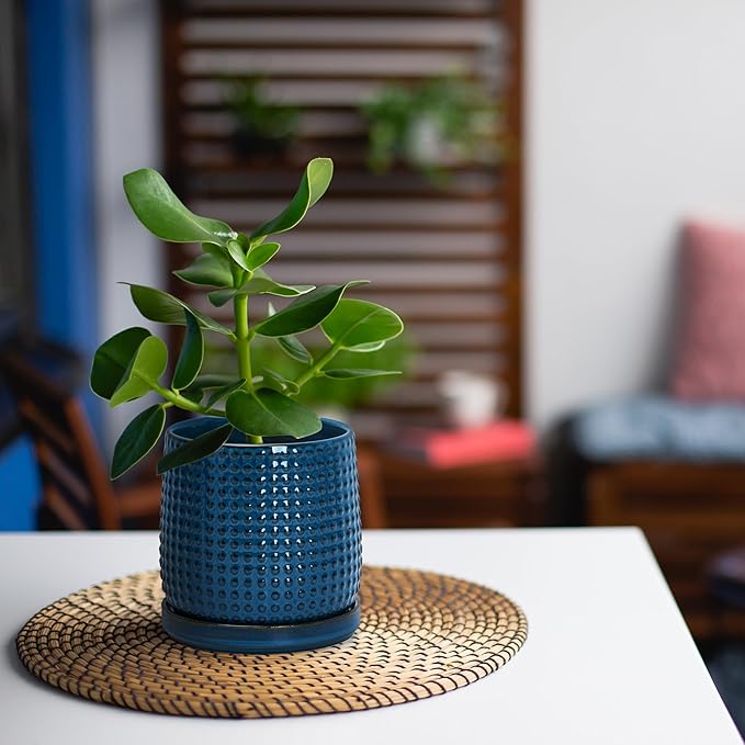 D'vine Dev 4 Inch Ceramic Beaded Stoneware Planter Pot - Flower Pot with Drainage Holes and Saucers for Indoor Succulent Plants or Flowers, Blue, 27-C-Z-3