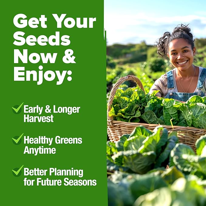 HOME GROWN 10,000+ Heirloom Lettuce Seeds for Planting Indoors - 95% Germination, Non-GMO Greens Seeds, (20 Varieties): Kale, Spinach, Butter, Oak, Romaine Bibb & More - Lettuce Seeds for Hydroponic