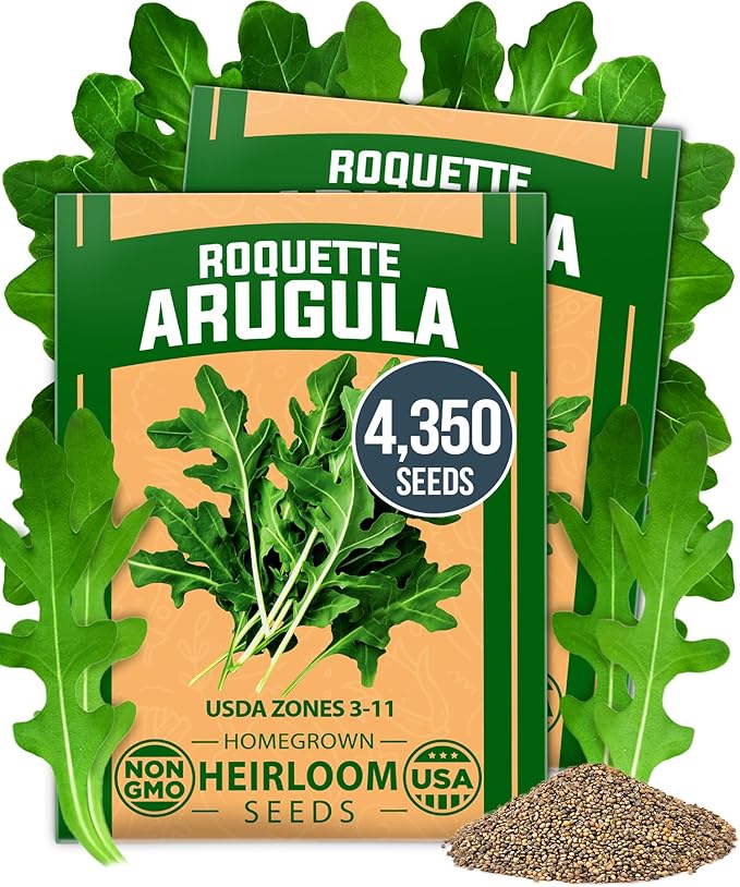 HOME GROWN Arugula Roquette Seeds 2 Pack (9g) 4350 Non-GMO Heirloom Arugula Seeds for Planting - Best for Outdoor Gardens, Providing Fast-Growing Greens for Salads and Sandwiches - Eruca vesicaria