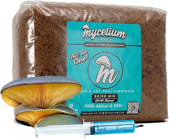 Gourmet Functional Alder & Soy Hull Blend with Mycelium Plus Grains - Milo/Millet 60/40-8lbs Combo | Purple Mukitake Gourmet - 8LBS All-in-One & 20ML Syringe