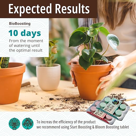 Plant Food for Houseplants - 3 Packs of “BioBoosting” Mineral Tablets for Soil Enrichment; Nitrogen Fertilizer for Indoor/Outdoor Plants; Garden, Tree and House Plant Fertilizer
