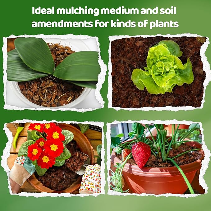 Coco Chips Substrate 2.2 LBS, Organic Coconut Husk Brick with Low EC and pH Balanced, Easy to Expand Coco Coir Mulch Medium for Garden Flowers & Reptile Bedding (2 Pcs)