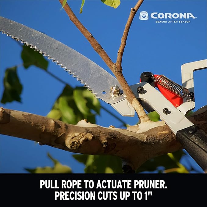 Corona Cipper 211252 TP 4212 DualLink Tree Saw and Pruner, 12-Foot, Feet, Red