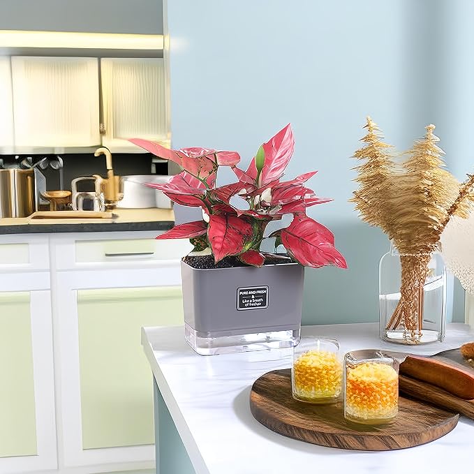 Self Watering Pots for Outdoor Plants 4 Pack, Suitable for Indoor and Outdoor Garden Plants and Flowers, Rectangle Planter Box, African Violet Pots, Modern Flower Pots, Small Plant Pots (7" Gray)