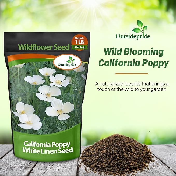 Outsidepride 1 lb. Annual Eschscholzia California Poppy White Linen Wild Flower Seeds