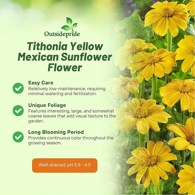 Outsidepride Yellow Torch Mexican Sunflower Seeds - 500 Pcs Annual, Easy-to-Grow, Yellow Tithonia Speciosa Flower Seeds w/Drought-Tolerant Blooms for Pollinator Gardens & Vibrant Summer Landscaping