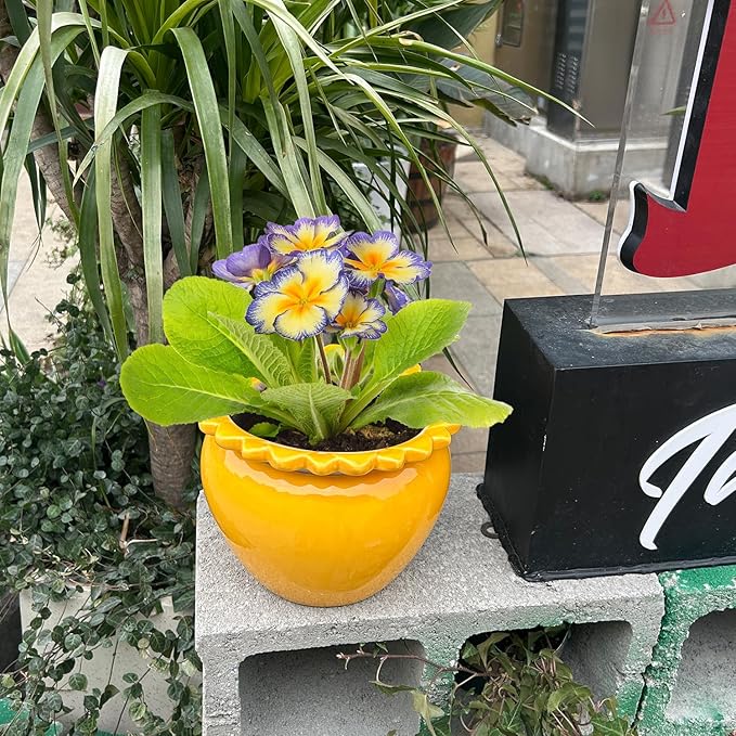 8in Self Waterring Terracotta Planter Yellow Ceramic Pot Maintenance Plant Seeder Planting Flower Pot Design Self Watering Planter for Indoor Plants African Violet Planter Pot