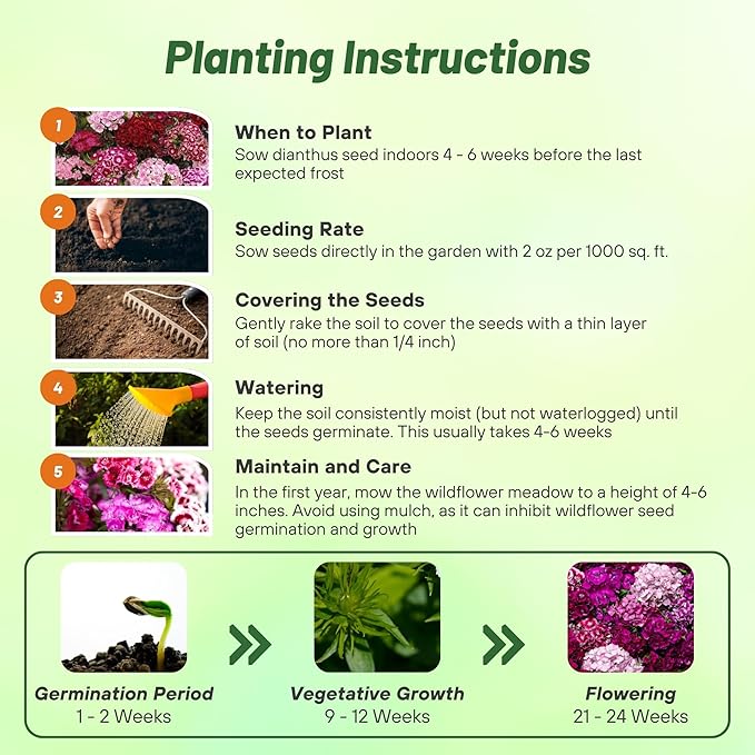 Outsidepride Sweet William Dianthus Seeds - 1 Lb. Perennial, Winter Hardy Wildflower Seeds w/Fragrant & Vibrant Blooms, Ideal for Pollinator Gardens, Cut Flowers & Colorful Landscaping