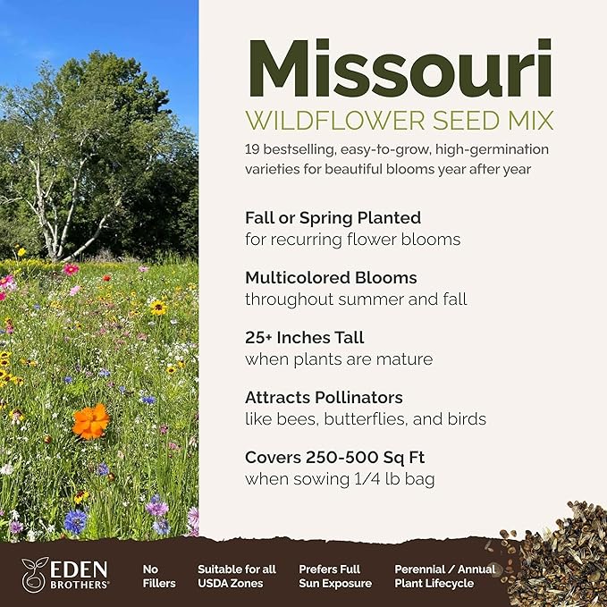 Eden Brothers Missouri Wildflower Mixed Seeds for Planting, 1/4 lb, 120,000+ Seeds with Lupine, Coreopsis | Attracts Pollinators, Plant in Spring or Fall, Zones