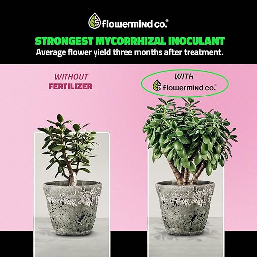 Vegan, Organic Liquid Fertilizer Kit| Biotechnology Fertilizer & Rock Dust, Longer Soil Enrichment | All-Purpose, Organic Liquid Plant Food for Vegetables, Plant| Indoor,Outdoor, 33 Fl.Oz +125g