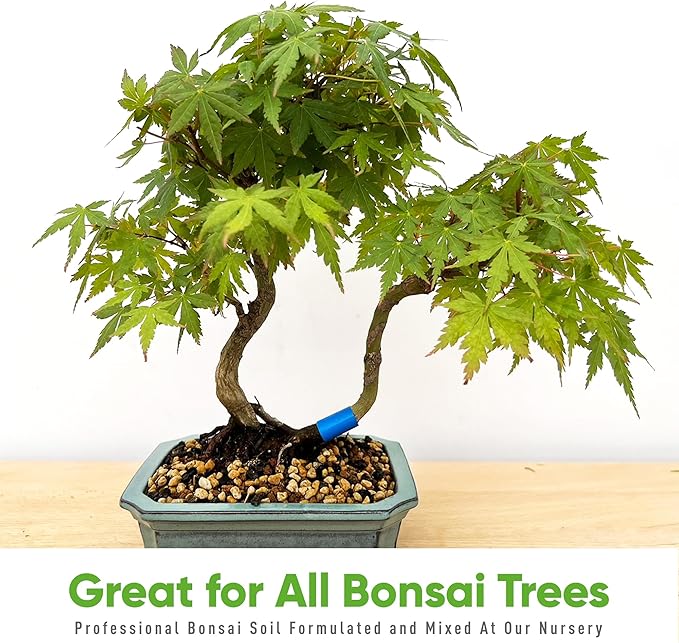 Bonsai Soil Mix by Tinyroots - All Purpose Bonsai Soil Mix Ready to Use Blend, Used for All Varieties of Bonsai Trees, 2.25 Quarts