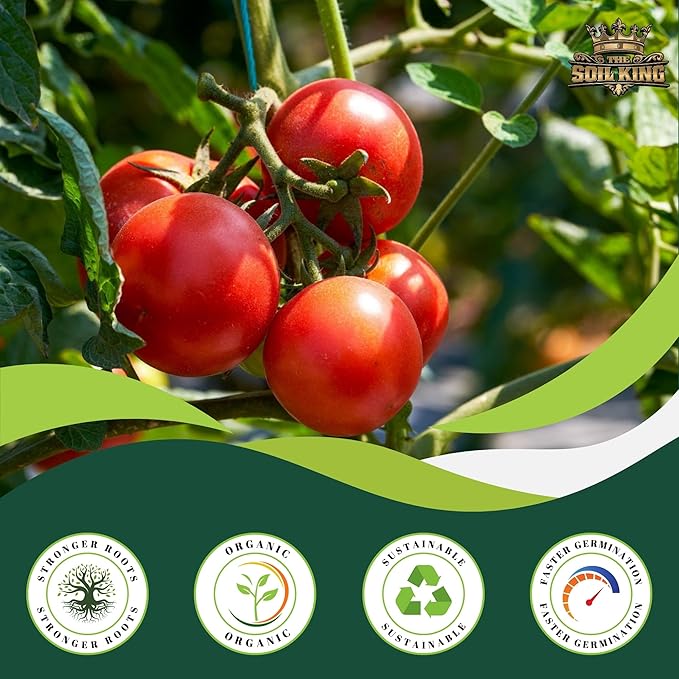 Soil King Big Rootz Super Soil - All-Purpose Potting Soil, pH Adjusted for Maximum Nutrient Uptake & Root Growth, Ready-to-Use for Indoor & Outdoor Plants, Container Gardening & Vegetables, 40 lb. Bag